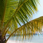 Otok Koh Rong