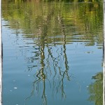 Ljubljanica 