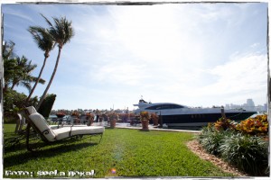 IMG_7713 IMG 7713