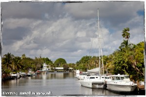 IMG_7953 IMG 7953