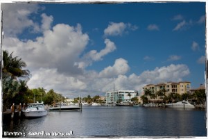 IMG_7960 IMG 7960