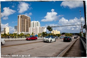 IMG 7977