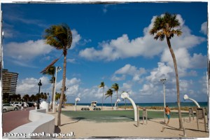 IMG 7984
