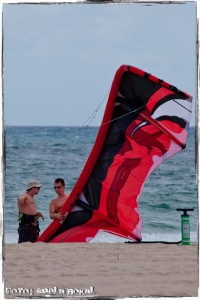IMG_7992 IMG 7992