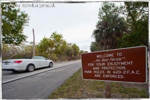 IMG_8046 IMG 8046