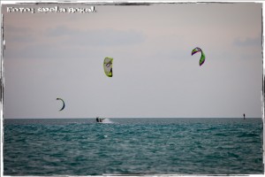 IMG_8069 IMG 8069
