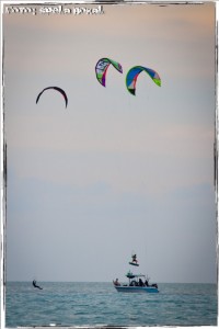 IMG_8083 IMG 8083