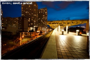 IMG_8206 IMG 8206