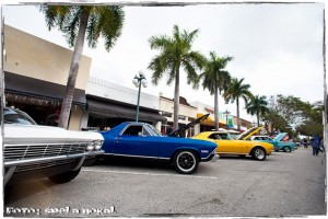 IMG_8246 IMG 8246