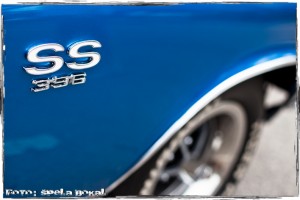 IMG_8380 IMG 8380