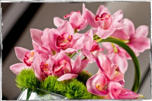 IMG_9575 IMG 9575
