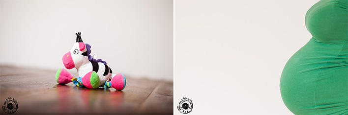 Fotografiranje-nosecnic-SB-1